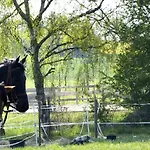 Old West Ranch 