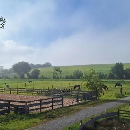 Old West Ranch 
