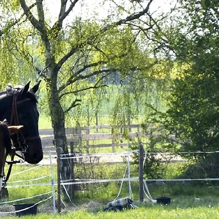 Old West Ranch 