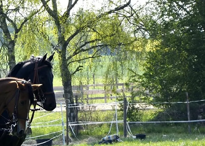 Old West Ranch 